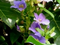 DSCN4823