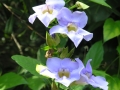 DSCN4824