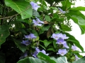 DSCN4832