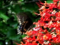DSCN4869_2