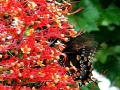 DSCN4870-2