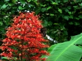 DSCN4870
