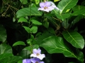 DSCN4872