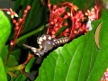 DSCN4902