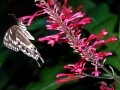 DSCN4905_2