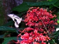 DSCN4912
