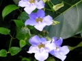 DSCN4979