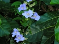 DSCN4986