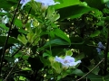 DSCN5020