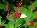DSCN5031