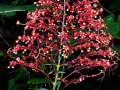 DSCN5303