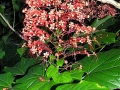 DSCN5304