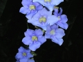 DSCN5376