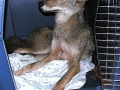 DSCN0323