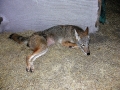 DSCN0344