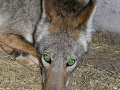 DSCN0345