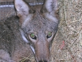 DSCN0376