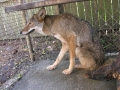DSCN0417