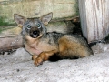DSCN0962