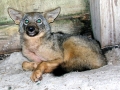 DSCN0963