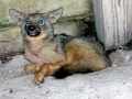 DSCN0964