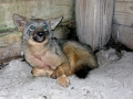 DSCN0965