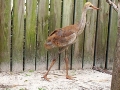 Apri_l01-05_004