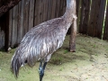 DCP_5710