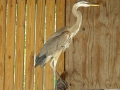 DSC00315