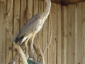 DSC00318