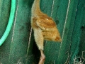 DSC01264