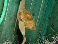 DSC01265