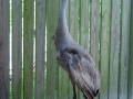 DSC02919