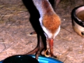 DSCN5188