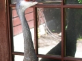 DSCN6330_1