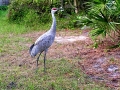 DSCN6863