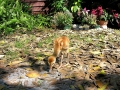 DSCN8067