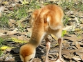 DSCN8067_1