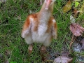 DSCN8122