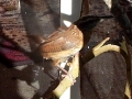 DCP_3565