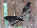 DSCN0124