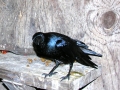 DSCN1284