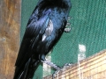 DSCN3258