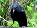 DSCN3558