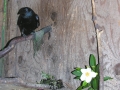 DSCN5958