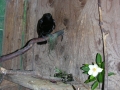 DSCN5959