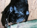 DSCN6026