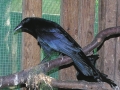 DSCN6767
