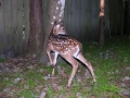 DSCN8271