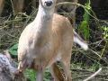 DSCN8398